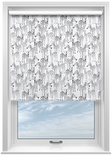 Zebra Zeal, Mono - Roller Blind